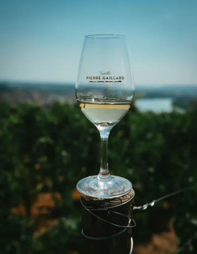 reportage photographique d'un verre de vin blanc posé sur un poteau dans les vignes, réalisé par un photographe à Annecy