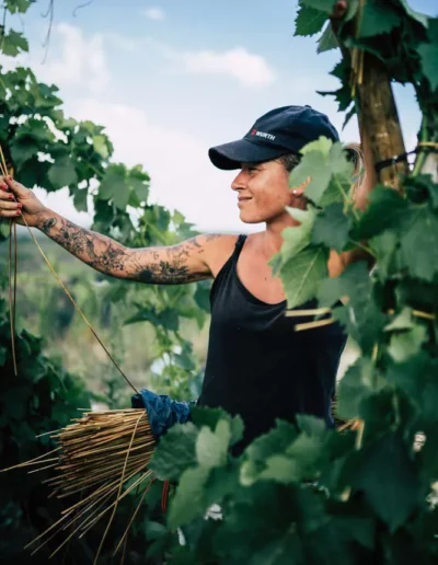 reportage photographique d'une femme qui attache des vignes, réalisé par un photographe à Annecy