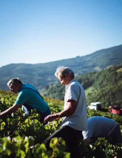 reportage photographique d'un vigneron dans ses vignes pendant les vendanges, réalisé par un photographe à Annecy