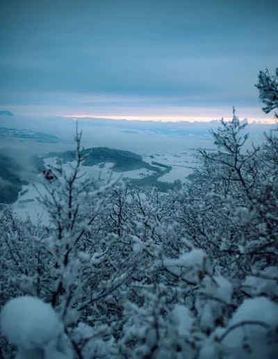 des arbres et une vue sur une plaine recouverte de neige en hiver