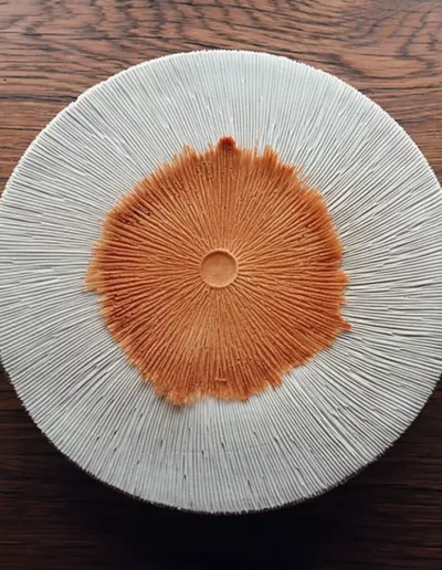 photo culinaire Emmanuel Renaut