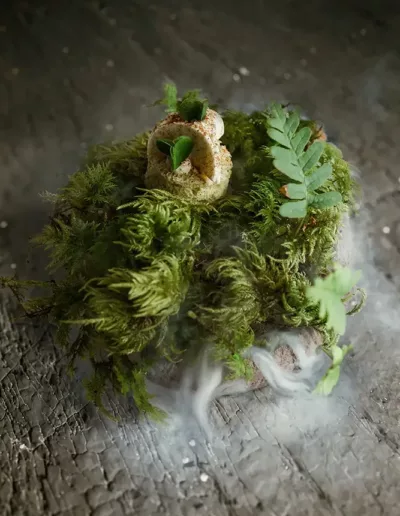 photo culinaire Jean Sulpice