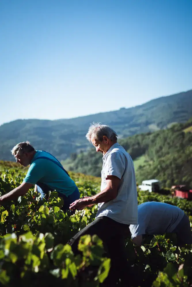Photographe Annecy © Clement Sirieys 8 Joseph Paccard fromagé debout cave