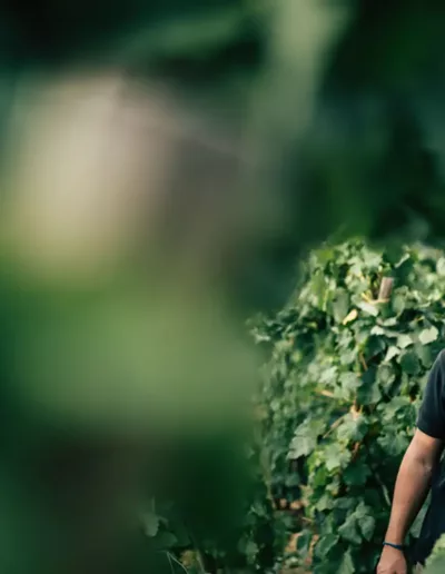 photo reportage vignerons