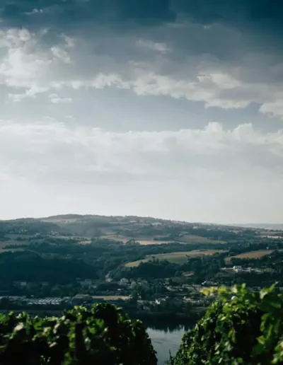 photo reportage vignerons