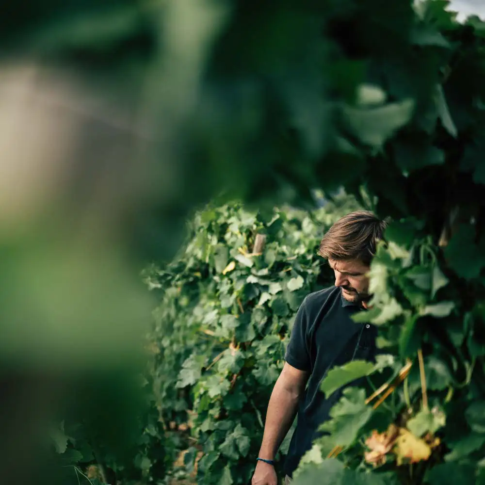 reportage_presentation © Clement Sirieys-1